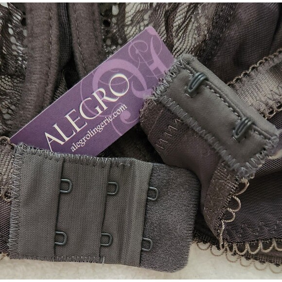 Alegro Bra US Size 36G Charcoal Gray Sheer Lace Plunge Underwire 9005A NWT - Picture 4 of 7